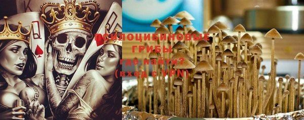 МДМА Белокуриха