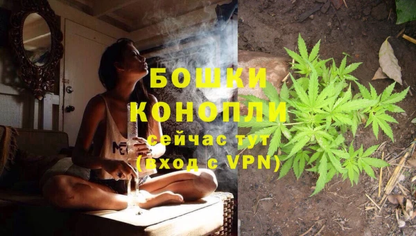 дживик Беломорск