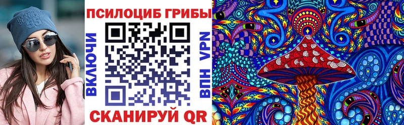 сколько стоит  Котлас  Псилоцибиновые грибы мицелий 