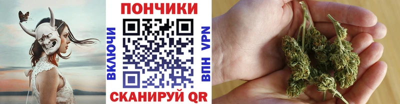 Канабис гибрид  Котлас 